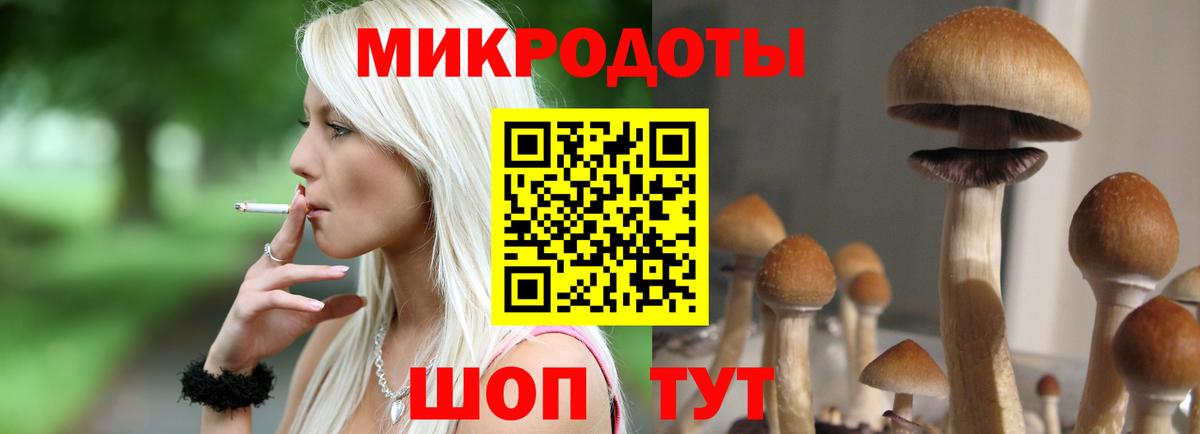 Псилоцибиновые грибы GOLDEN TEACHER Химки